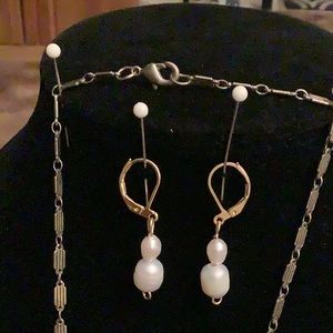 Genuine Mother of Pearl shell necklace. On an antique style chain .